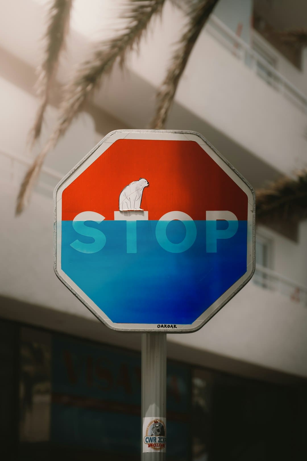 漳浦开渔 千帆竞发赴蓝海